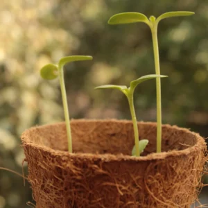 Grow Pro Round (GIY Kit) - Image 4