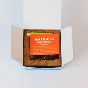 Grow Solo Square (GIY Kit) - Image 2