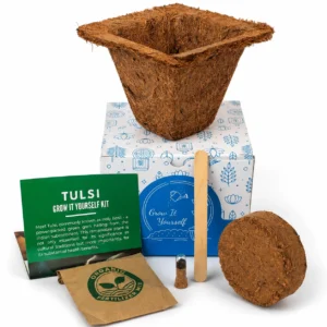 Grow Solo Square (GIY Kit) - Image 1