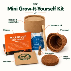 Mini Grow-It-Yourself Kit – 2" - Image 1