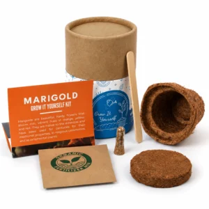 Mini Grow-It-Yourself Kit – 2" - Image 3