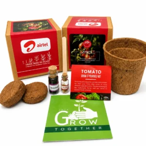 Grow Solo Round (GIY Kit) - Image 1
