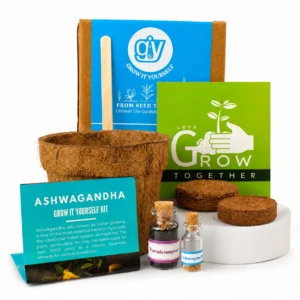 Grow Solo Round (GIY Kit) - Image 3