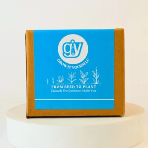 Grow Solo Round (GIY Kit) - Image 2