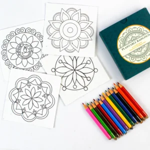 The Rangoli Colour Box - Image 3
