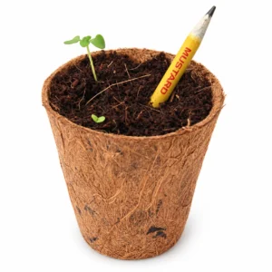 Plantable Seed Pencil - Image 4