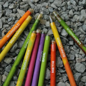 Plantable Seed Pencil (12pc set) - Image 3