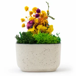 Ceramic Forest Bowl-3 - Image 1