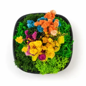Ceramic Forest Bowl-3 - Image 2
