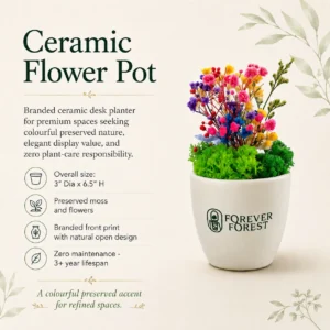 Ceramic Flower Pot - Image 4