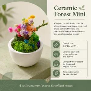 Ceramic Forest Mini - Image 5