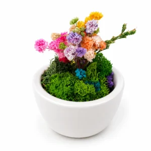 Ceramic Forest Mini - Image 2