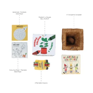 Colour & Plant Crayon Kit - Image 2