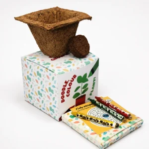 Colour & Plant Crayon Kit - Image 1