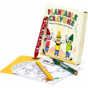 Doodle Kit (3 seed crayon) + activity sheet - Image 1