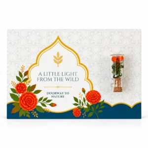Forest Card - Festive - Image 2