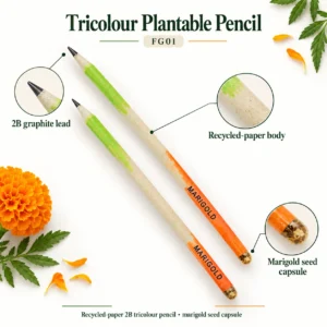 Tricolour Plantable Pencil - Image 3