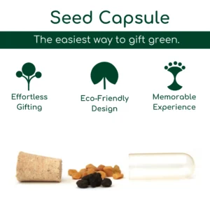 Seed Capsule In Flap - Image 4