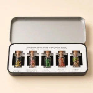 Forest Sparkle (5 seeds) - Festive - Image 2